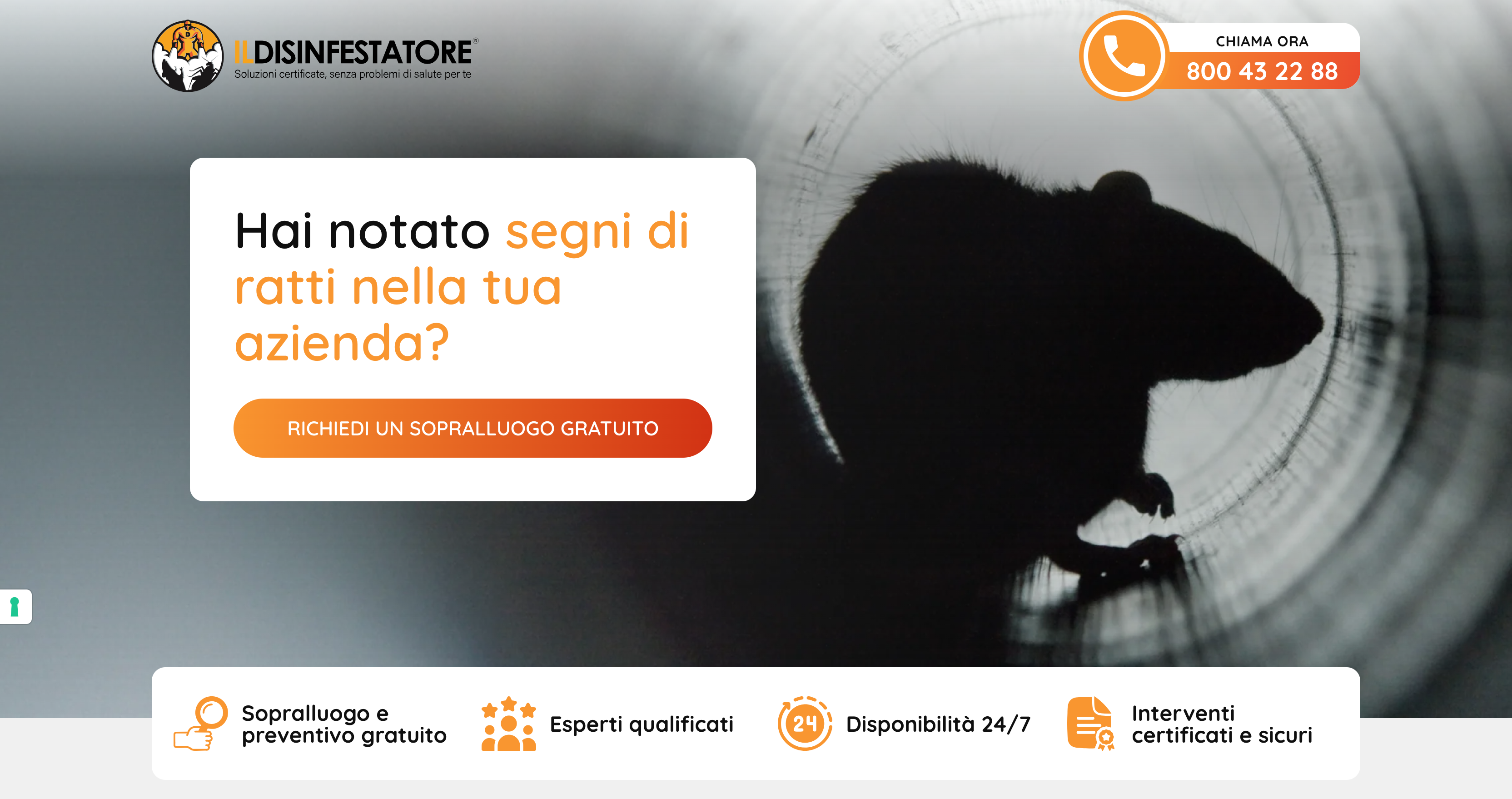 Il Disinfestatore - Derattizzazione